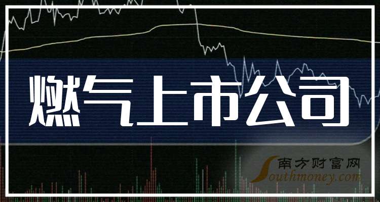 燃气上市公司投资分析与决策步骤指南，投资燃气行业的策略与决策过程解析