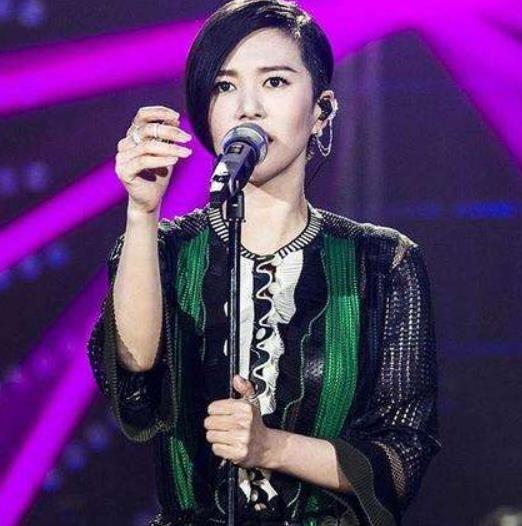 我是歌手演员，探寻音乐与演技的魅力