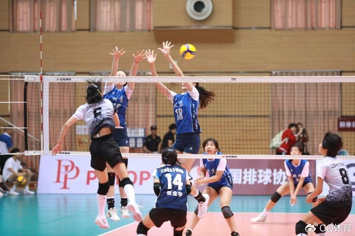 排球运动比赛方法详解，从入门到精通的全方位解析