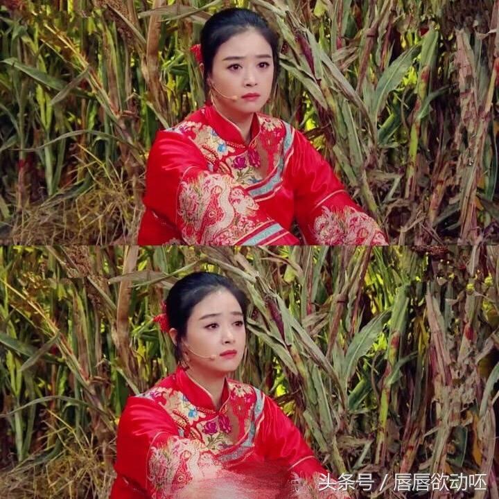 刘芸演员的诞生，星途璀璨之路的探寻