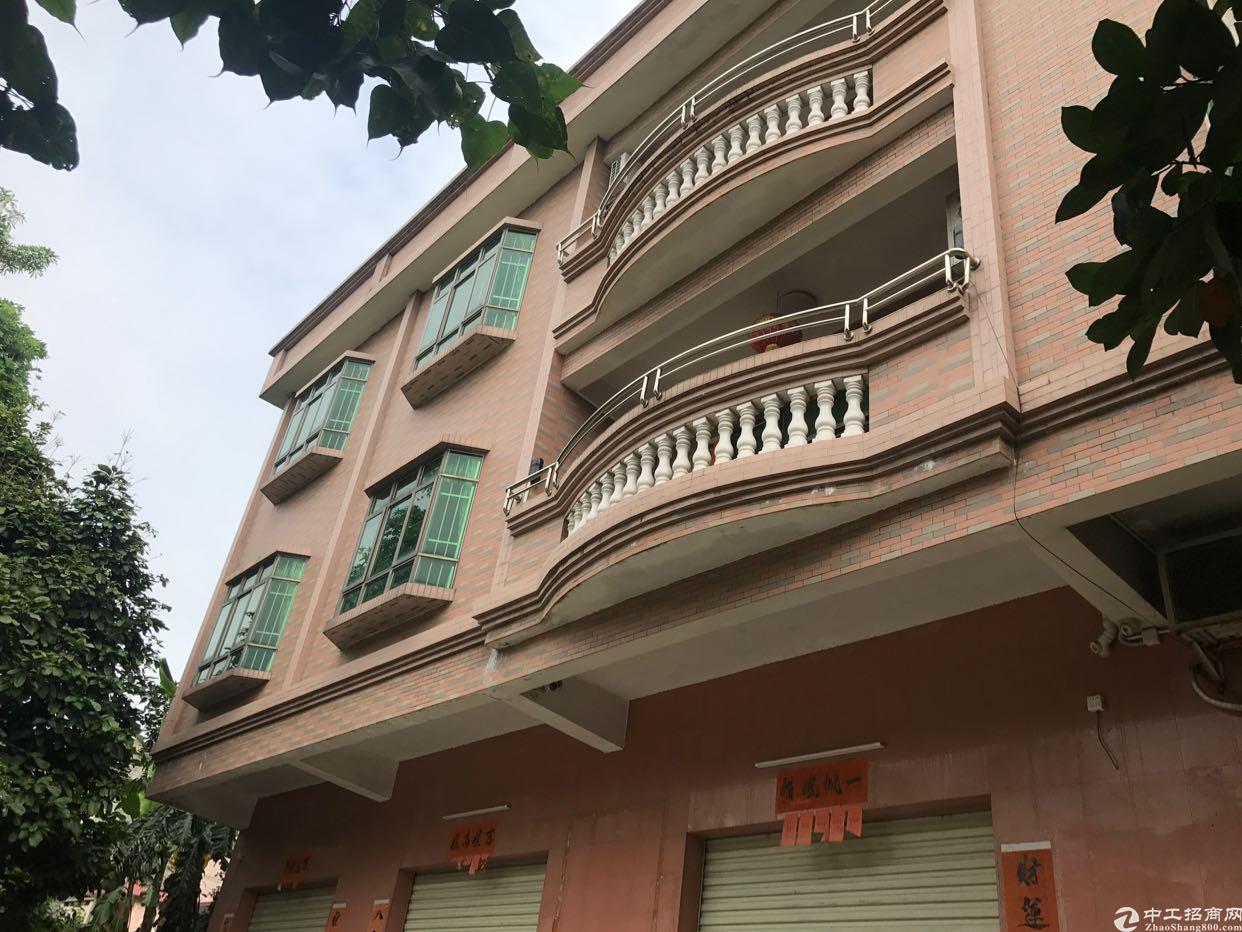 南阳民房独院出售，市场趋势与多元观点探讨