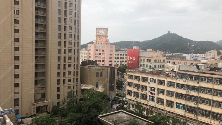 路桥二手房资讯回顾与探析，市场动态深度解析