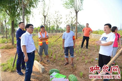汝州闫庄棚改最新进展动态更新，火热进行中！
